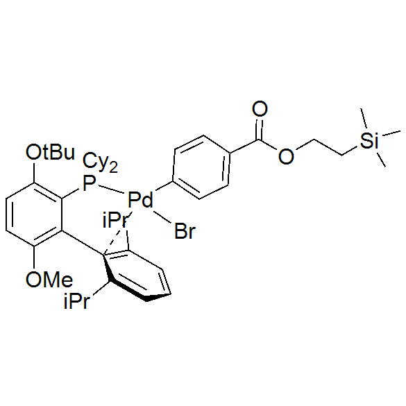[2-(二環己基膦)-3-叔丁氧基-6-甲氧基-2